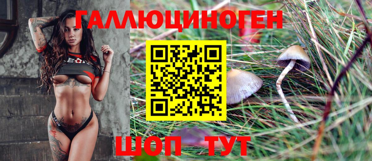 Галлюциногенные грибы Cubensis Вятские Поляны