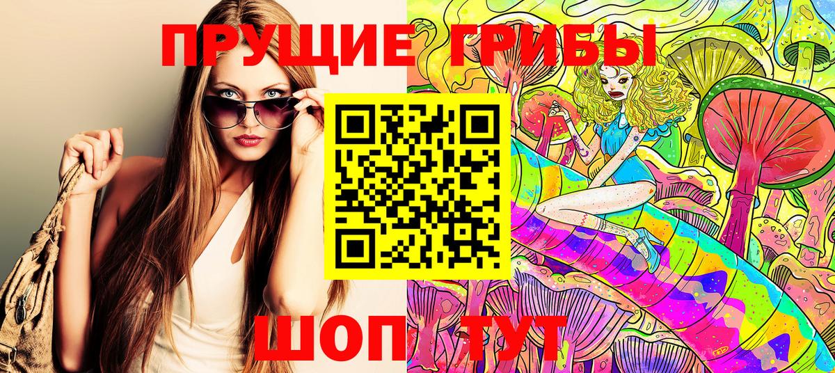 Галлюциногенные грибы Psilocybe  Вход с VPN  Вятские Поляны 